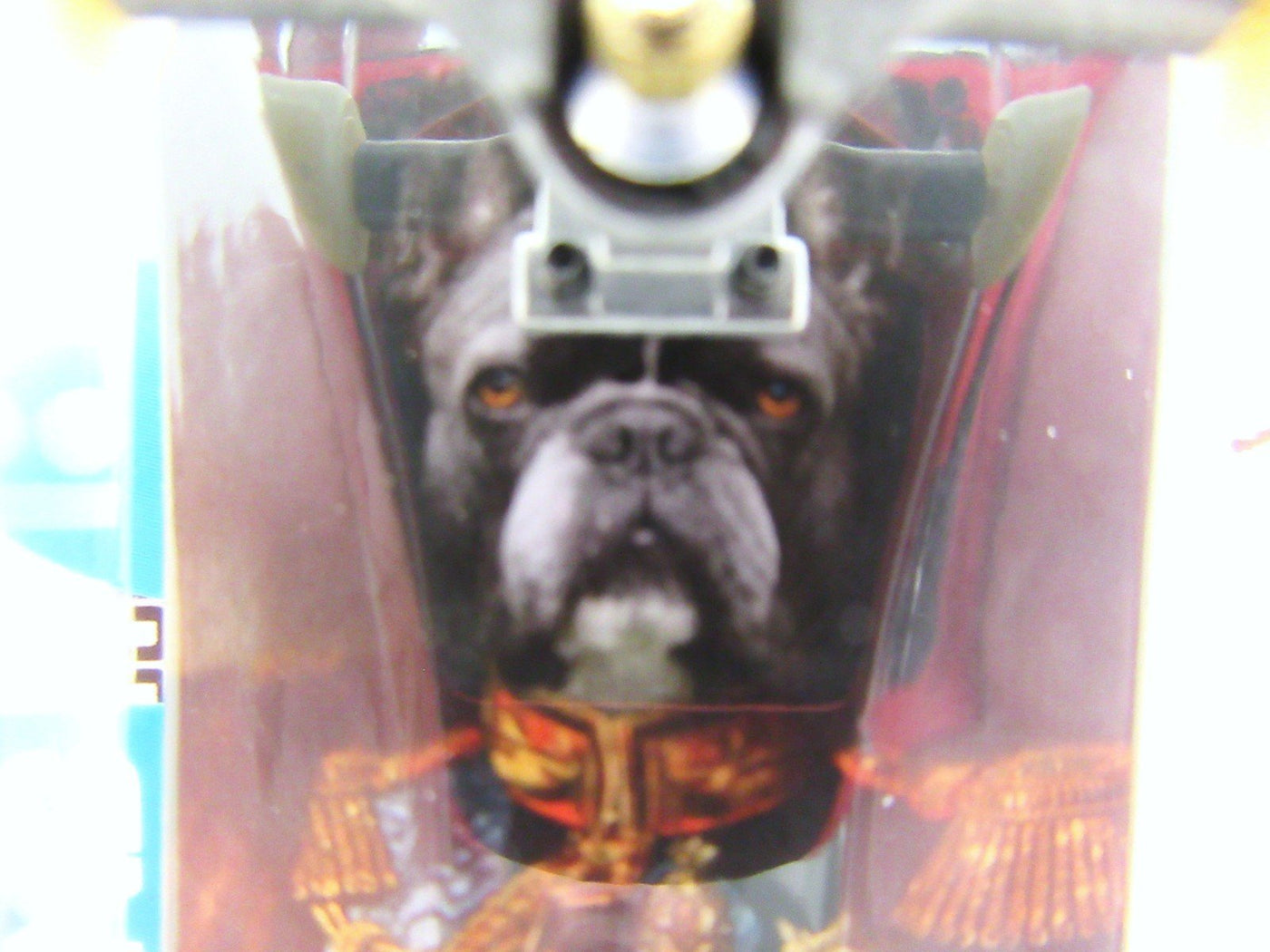 Tech Deck ~ Plan B ~ Skateboard / Fingerboard ~ General Dog