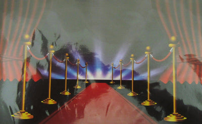 Photo Prop Background ~ 44 inch x 72 inch ~ Movie Theater
