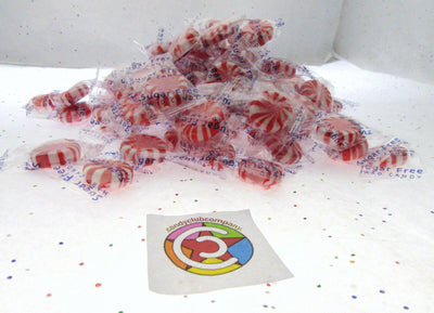 Starlight Mints Sugar Free Coastal Bay 16 oz Peppermint Candy 1lb One Pound