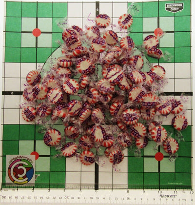 Starlight Mints Candy Discs ~ Peppermint ~ One Pound ~ 16oz Candies mint Sweets